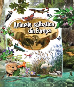 Animale salbatice din Europa - Kreativ