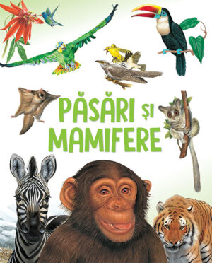 Pasari si mamifere - Kreativ