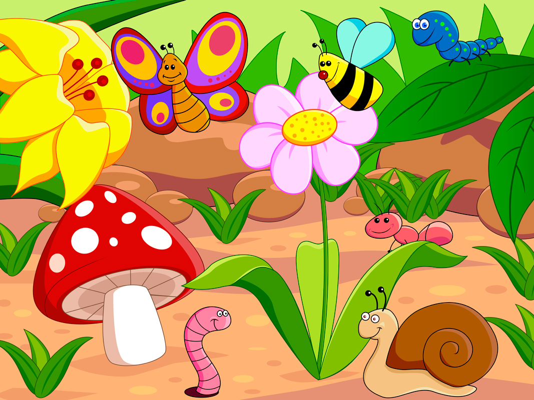Natura (KP-006) - 50 x 70 - Kreativ