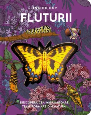 Fluturii – model 3D