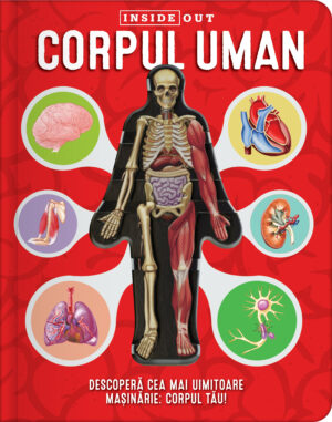 Corpul uman (Inside Out)
